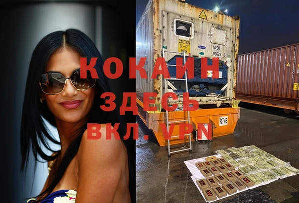 прущие грибы Снежинск