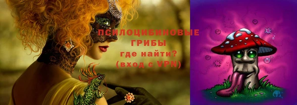 прущая мука Абаза