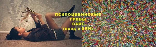 прущие грибы Снежинск