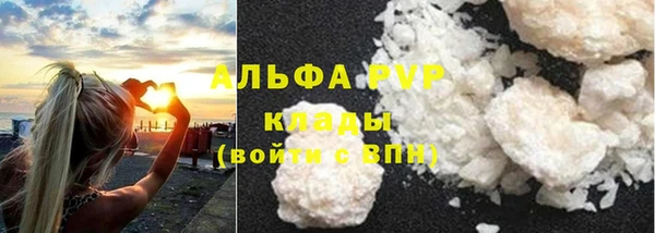 прущие грибы Снежинск