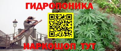 каннабис Шелехов