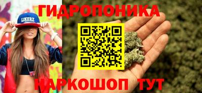 каннабис Шелехов