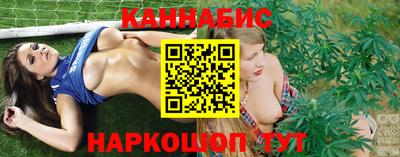 амф Шебекино