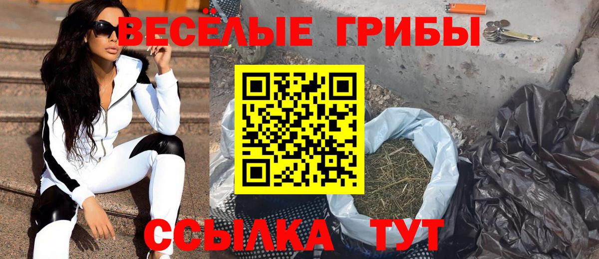 Псилоцибиновые грибы GOLDEN TEACHER  Вход с VPN  Нягань 